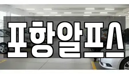 경상북도 상주시 죽전동 렌트카 전문 포항알프스