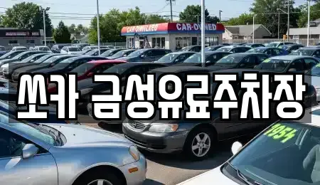경상북도 안동시 옥정동 렌트카 전문 쏘카 금성유료주차장