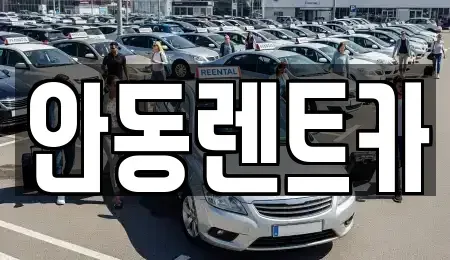 경상북도 안동시 정하동 렌트카 전문 안동렌트카