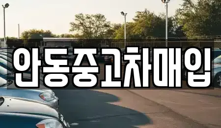 경상북도 안동시 정하동 중고차매매 전문 안동중고차매입