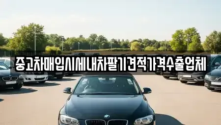 경상북도 안동시 정하동 중고차매매 전문 중고차매입시세내차팔기견적가격수출업체