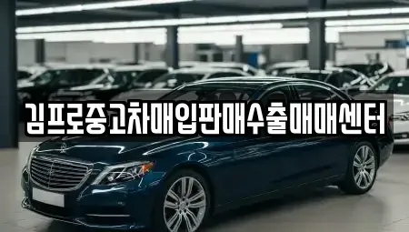 경상북도 안동시 정하동 중고차매입 전문 김프로중고차매입판매수출매매센터