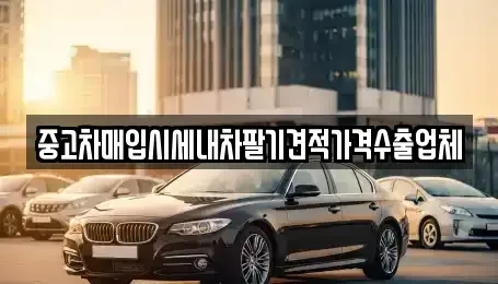 경상북도 영주시 안정면 중고차매입 전문 중고차매입시세내차팔기견적가격수출업체