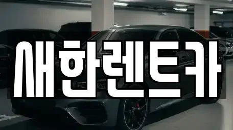 경상북도 영천시 교촌동 렌트카 전문 새한렌트카