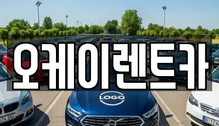경상북도 영천시 교촌동 렌트카 전문 오케이렌트카