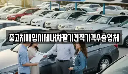 경상북도 영천시 교촌동 중고차매입 전문 중고차매입시세내차팔기견적가격수출업체