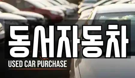 경상북도 영천시 신녕면 중고차매매 전문 동서자동차