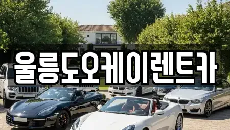 경상북도 울릉군 렌트카 전문 울릉도오케이렌트카