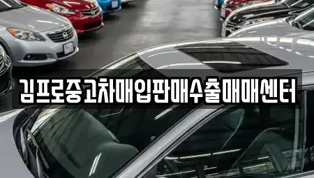 경상북도 울릉군 장기렌트카,중고차,렌트카,단기렌트카,중고차매입,중고차매매