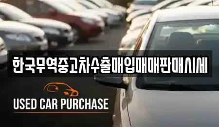 경상북도 의성군 점곡면 중고차매입 전문 한국무역중고차수출매입매매판매시세
