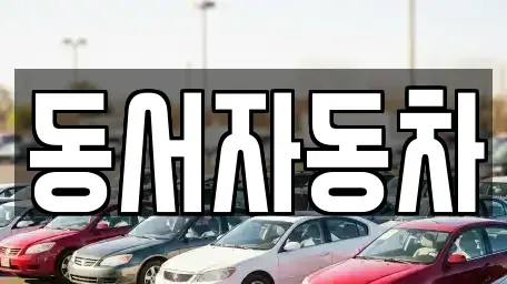 경상북도 청도군 이서면 중고차 전문 동서자동차