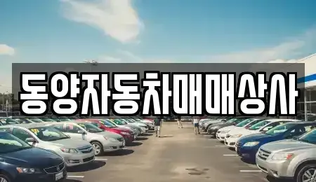 경상북도 청송군 파천면 중고차 전문 동양자동차매매상사