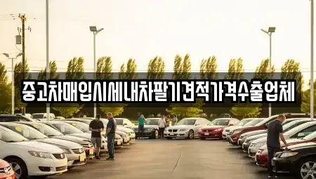 경상북도 청송군 파천면 중고차매입 전문 중고차매입시세내차팔기견적가격수출업체