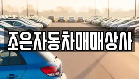 경상북도 포항시 남구 상도동 중고차매매,단기렌트카,중고차매입,장기렌트카,중고차,렌트카