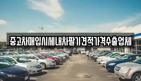 경상북도 포항시 남구 상도동 중고차매입 전문 중고차매입시세내차팔기견적가격수출업체