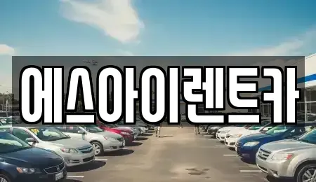 경상북도 포항시 북구 신흥동 렌트카 전문 에스아이렌트카