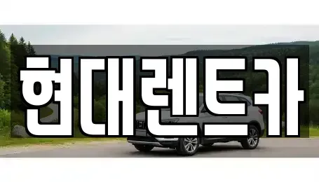 경상북도 포항시 북구 신흥동 렌트카 전문 현대렌트카