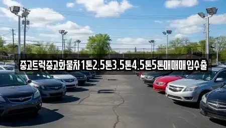경상북도 포항시 북구 신흥동 중고차매매 전문 중고트럭중고화물차1톤2.5톤3.5톤4.5톤5톤매매매입수출