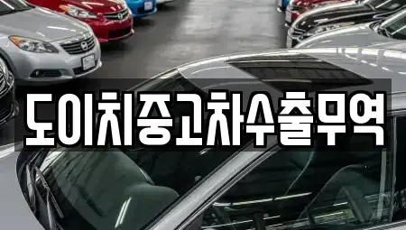 광주 광산구 북산동 중고차매매 전문 도이치중고차수출무역