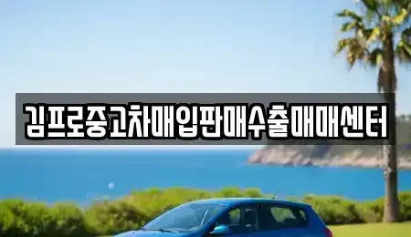 광주 동구 대의동 중고차 전문 김프로중고차매입판매수출매매센터