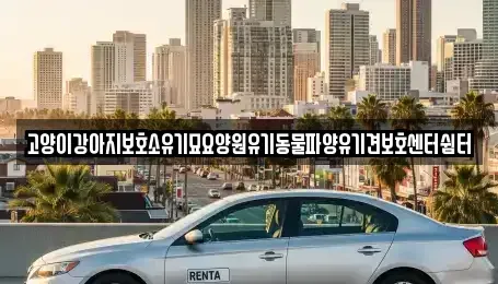광주광역시 광산구 송산동 중고차 전문 고양이강아지보호소유기묘요양원유기동물파양유기견보호센터쉼터