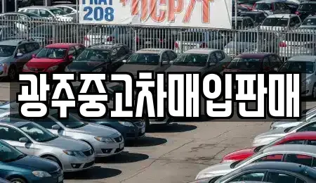 광주광역시 광산구 오선동 중고차 전문 광주중고차매입판매