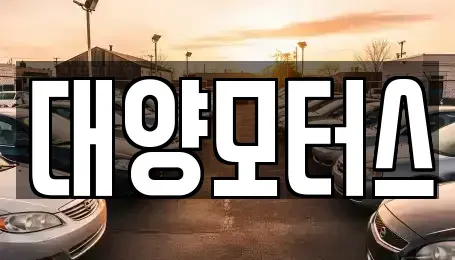 광주광역시 광산구 용곡동 중고차매매 전문 대양모터스