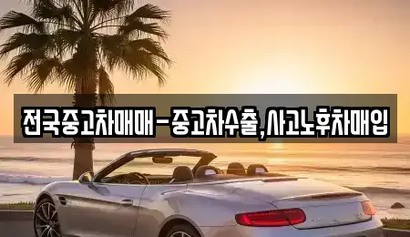 광주광역시 광산구 용곡동 중고차매입 전문 전국중고차매매-중고차수출,사고노후차매입