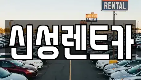 광주광역시 남구 월산동 렌트카 전문 신성렌트카