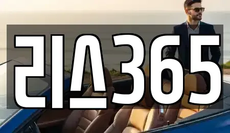 광주광역시 남구 월산동 장기렌트카 전문 리스365