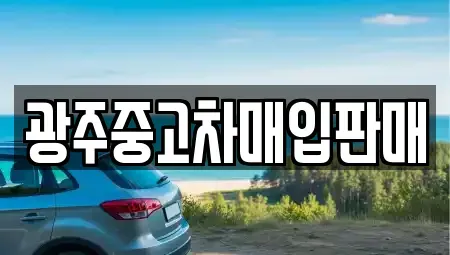 광주광역시 남구 월산동 중고차 전문 광주중고차매입판매