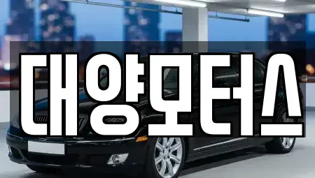 광주광역시 남구 월산동 중고차 전문 대양모터스