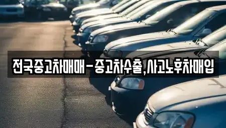 광주광역시 남구 월산동 중고차 전문 전국중고차매매-중고차수출,사고노후차매입
