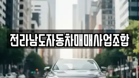 광주광역시 남구 월산동 중고차매매 전문 전라남도자동차매매사업조합