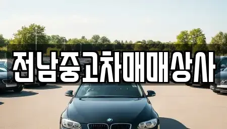 광주광역시 동구 중고차 전문 전남중고차매매상사