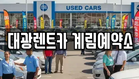 광주광역시 북구 용봉동 장기렌트카 전문 대광렌트카 계림예약소