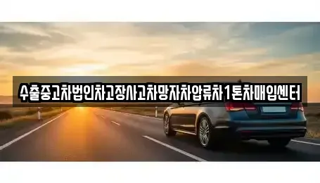 광주광역시 북구 용봉동 중고차매매 전문 수출중고차법인차고장사고차망자차압류차1톤차매입센터