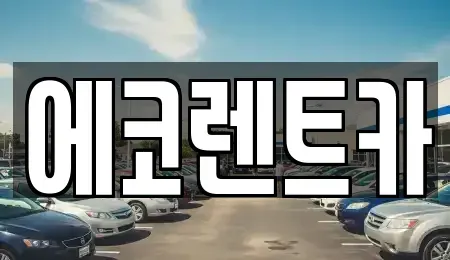 광주광역시 북구 풍향동 렌트카 전문 에코렌트카
