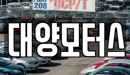 광주광역시 북구 풍향동 중고차매매 전문 대양모터스