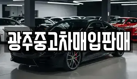 광주광역시 북구 풍향동 중고차매입 전문 광주중고차매입판매