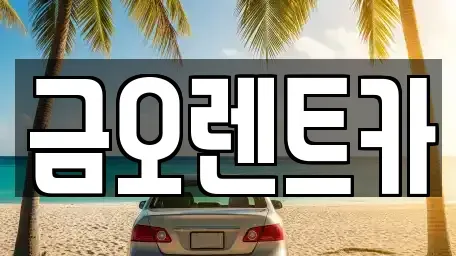 대구 달성군 단기렌트카 전문 금오렌트카