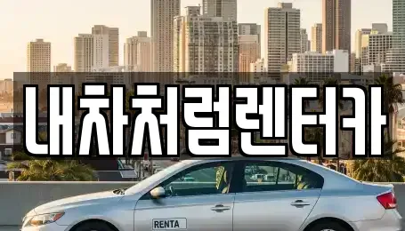 대구 달성군 렌트카 전문 내차처럼렌터카
