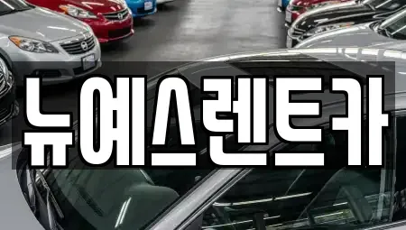 대구 달성군 렌트카 전문 뉴예스렌트카