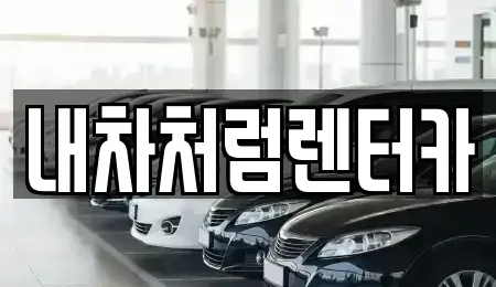 대구 달성군 옥포읍 렌트카 전문 내차처럼렌터카