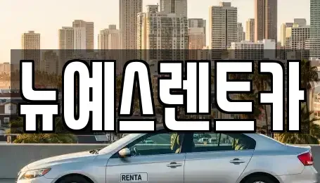 대구 달성군 옥포읍 렌트카 전문 뉴예스렌트카