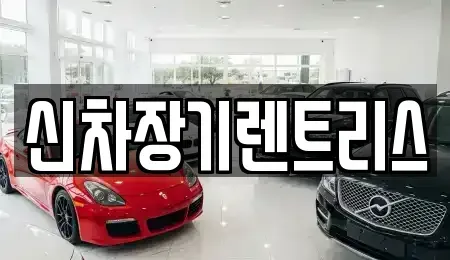 대구 달성군 장기렌트카 전문 신차장기렌트리스