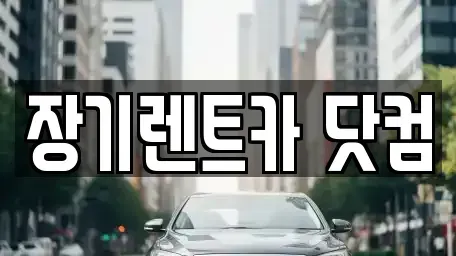 대구 달성군 장기렌트카 전문 장기렌트카 닷컴