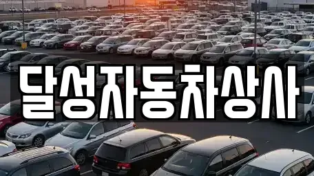대구 달성군 중고차 전문 달성자동차상사