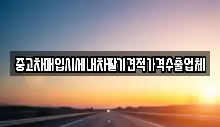 대구 달성군 중고차매입 전문 중고차매입시세내차팔기견적가격수출업체