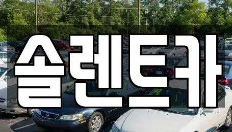 대구 동구 불로동 렌트카 전문 솔렌트카